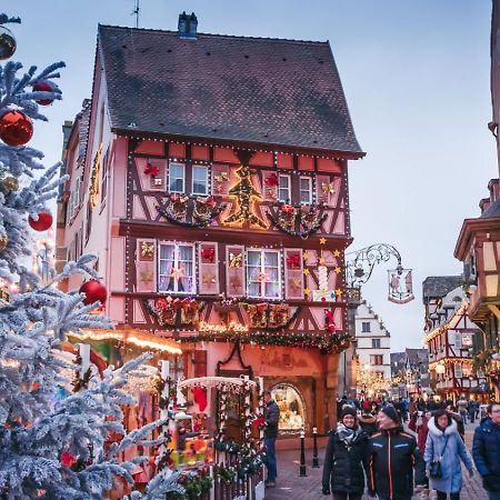 Le Rosacker: City Center Retreat with Terrace and Free Parking Colmar Exterior photo