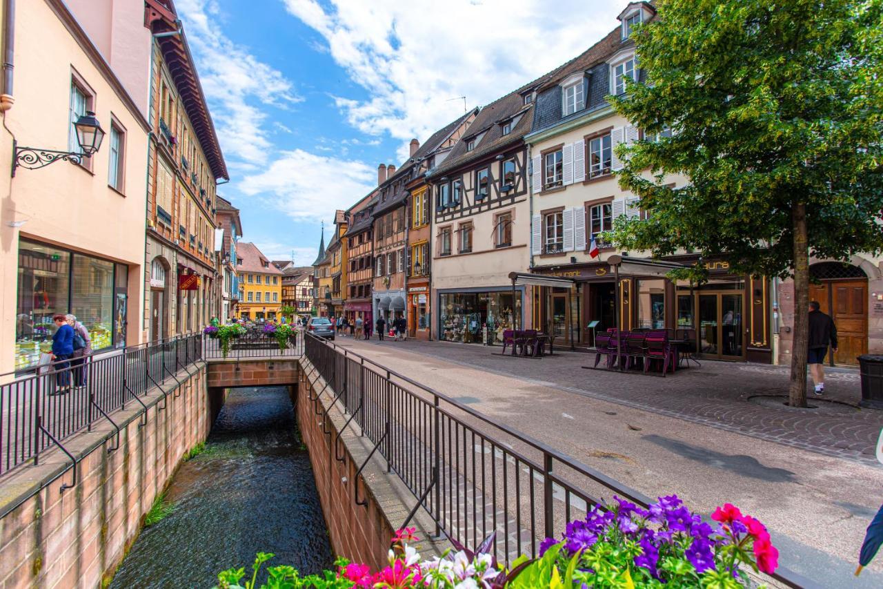 Le Rosacker: City Center Retreat with Terrace and Free Parking Colmar Exterior photo