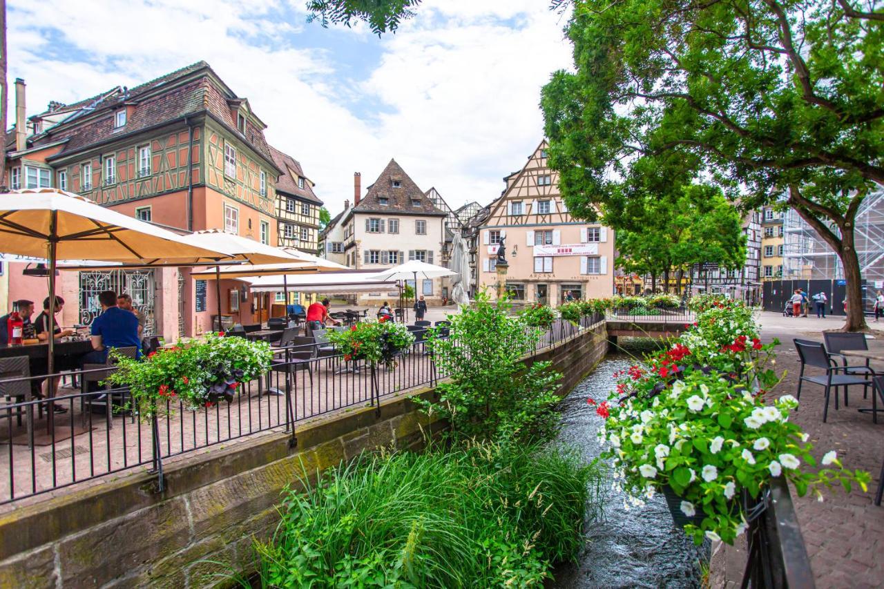 Le Rosacker: City Center Retreat with Terrace and Free Parking Colmar Exterior photo