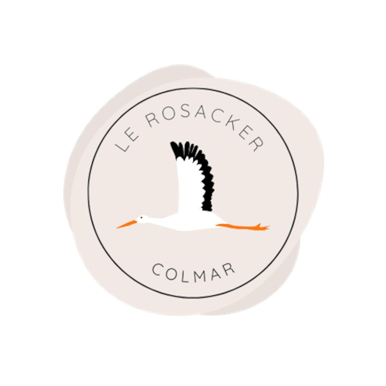 Le Rosacker: City Center Retreat with Terrace and Free Parking Colmar Exterior photo