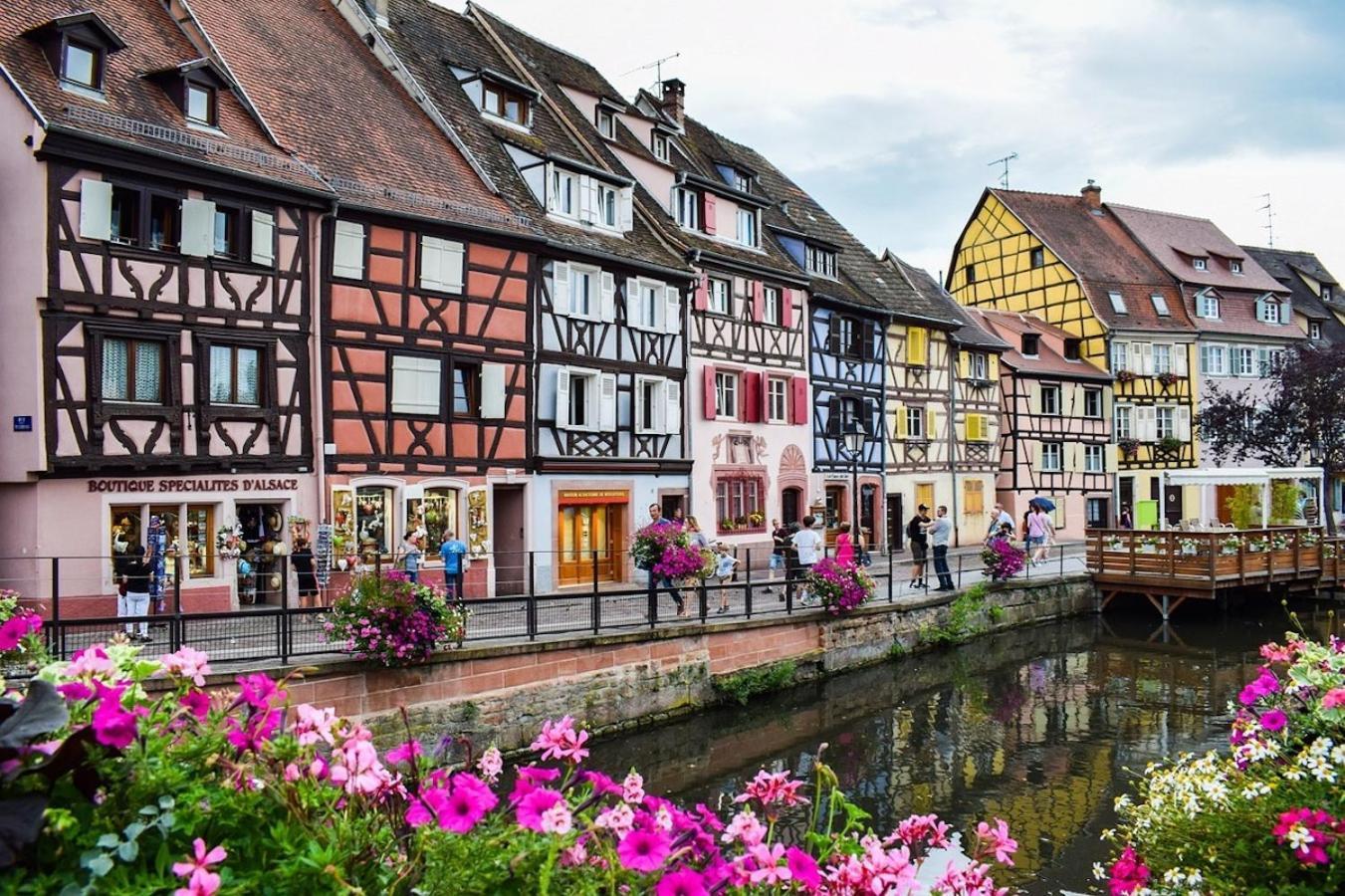 Le Rosacker: City Center Retreat with Terrace and Free Parking Colmar Exterior photo